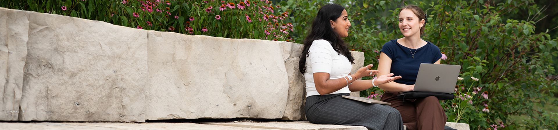 Graduate students sitting outside and studying together.
