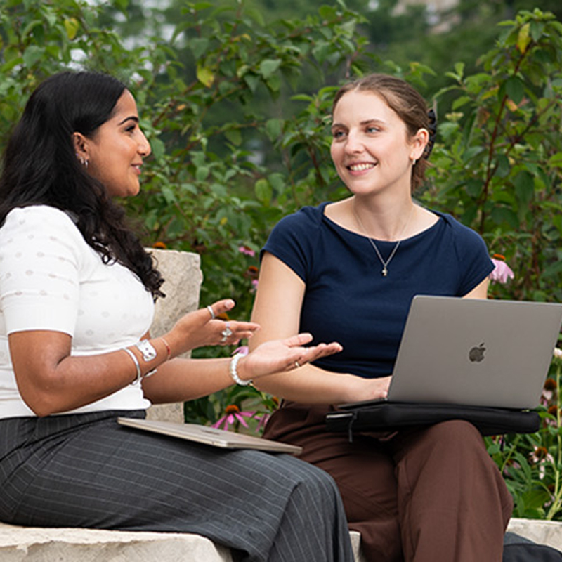 Graduate students sitting outside and studying together.